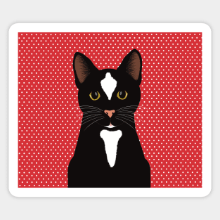 The cute and alert black and  white cat is waiting and watching you , red and white dotted background Sticker